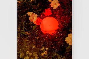 Roe Ethridge