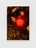 Glowing Orb on 91st and ShoreFront Parkway by Roe Ethridge contemporary artwork Painting
