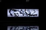 Reversible Rotation  Black in White by teamLab contemporary artwork moving image