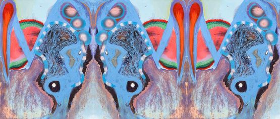 MTA Rorschach by Kerstin Bratsch contemporary artwork Print