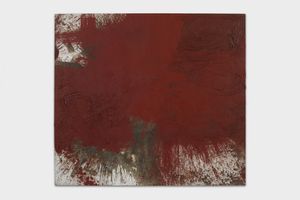 Hermann Nitsch