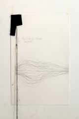 Drawing on the Subject of the Sun HAIR by Catharina Van Eetvelde contemporary artwork works on paper