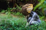 Exomind Deep Water by Pierre Huyghe contemporary artwork sculpture