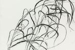 Susan Hartnett contemporary artist