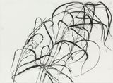 Oct. 11 2011 2 Blue-joint grass Calamagrostis canadensis by Susan Hartnett contemporary artwork drawing painting works on paper