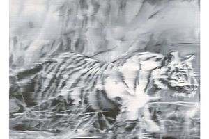 Gerhard Richter