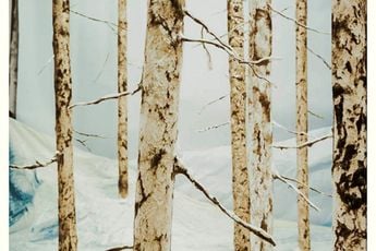 Sonja Braas contemporary artist