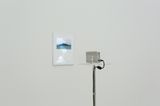 Moist Scenery  by Joyce Ho contemporary artwork installation