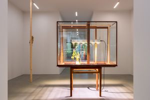 Danh Vo