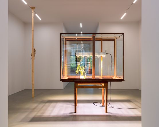 untitled by Danh Vo contemporary artwork Sculpture