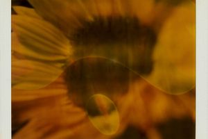 Walter Schels