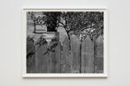 Picket Fence Tree and Cabin by Dawoud Bey contemporary artwork Sculpture