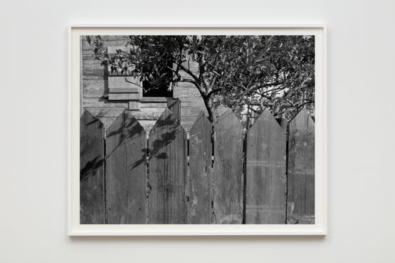 Picket Fence Tree and Cabin by Dawoud Bey contemporary artwork Sculpture