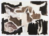 Cage Syria map variations by Fiona Hall contemporary artwork works on paper