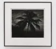 Study of Setting Sun Palm Tree by Robert Longo contemporary artwork Works on Paper