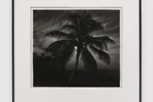 Robert Longo