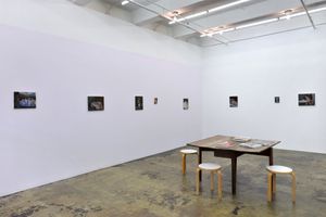 Janice Nowinski