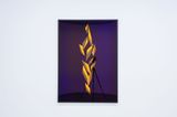 Fractured Shadow i by Andrew Beck contemporary artwork photography