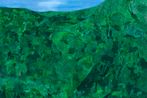 Sally Ross contemporary artist