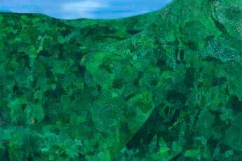 Sally Ross contemporary artist