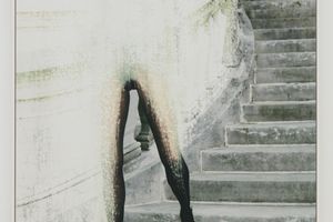 Amie Dicke