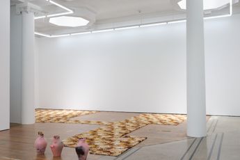 Contemporary art exhibition et al. Simon Denny Simon Denny et al. at Michael Lett Karangahape Road New Zealand