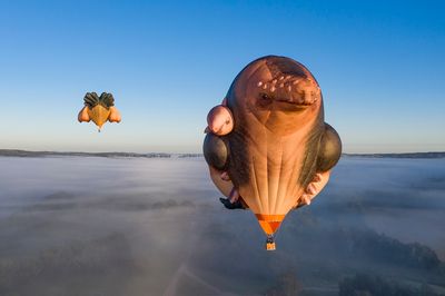 Patricia Piccininis Skywhalepapa to Fly Over Melbourne