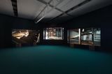 Lina Bo Bardi - A Marvellous Entanglement by Isaac Julien contemporary artwork moving image
