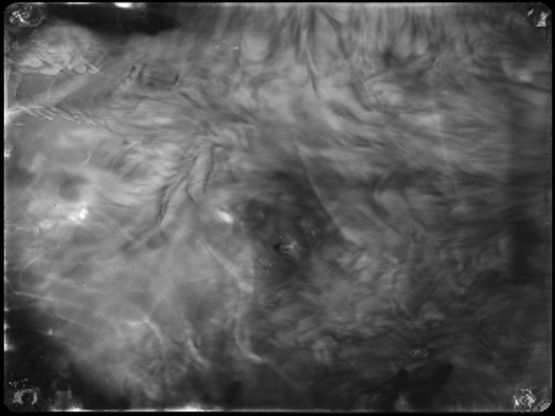 Fragmento de um campo III - 9.120 Sv 07.05.09 - 21.07.09   by Alice Miceli contemporary artwork Photography