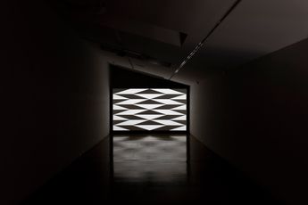 Jan Van Der Ploeg contemporary artist