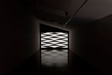 Jan Van Der Ploeg contemporary artist