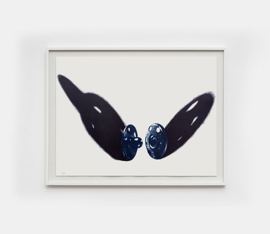 Pressao da serie from the series Armarinhos by Regina Silveira contemporary artwork Works on Paper