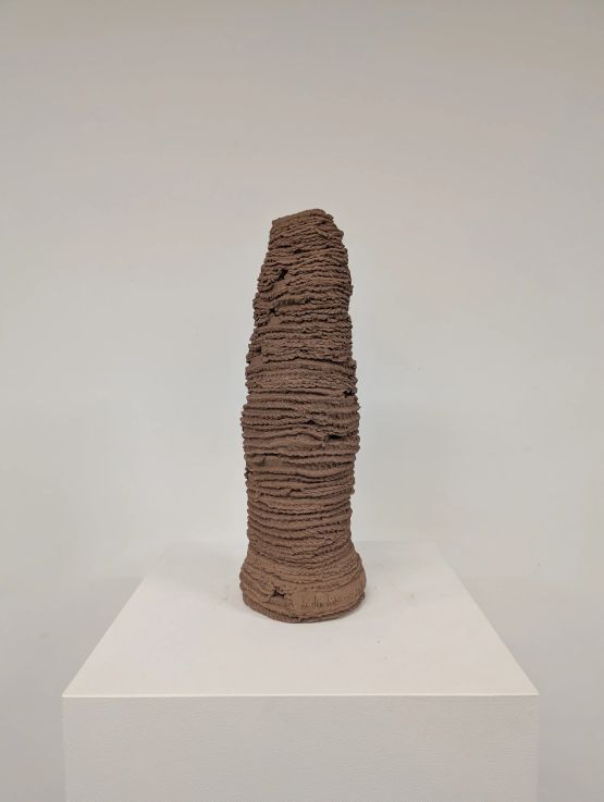 Untitled from the series Cupinzeiros by Lidia Lisboa contemporary artwork Sculpture
