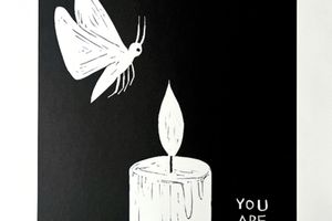 David Shrigley