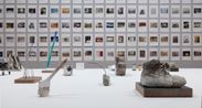 Field report by Chunghyung Lee contemporary artwork Installation