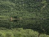 Cabin Norway by Lucas Foglia contemporary artwork print