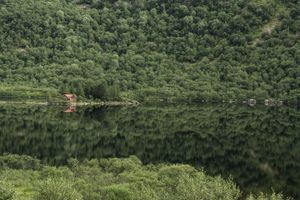 Lucas Foglia