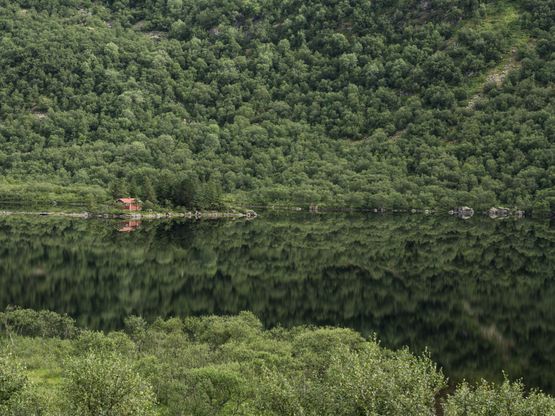 Cabin Norway by Lucas Foglia contemporary artwork Print