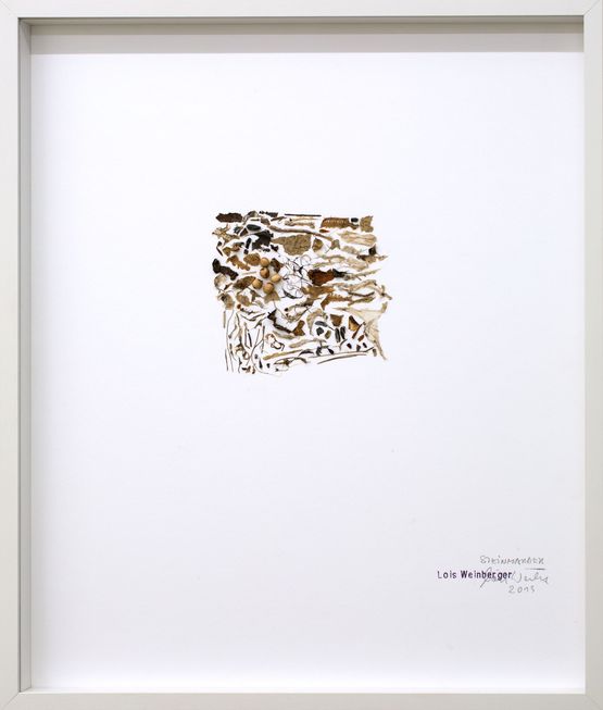 Steinmarder by Lois Weinberger contemporary artwork Works on Paper