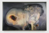 0RKLn0W by Anicka Yi contemporary artwork mixed media