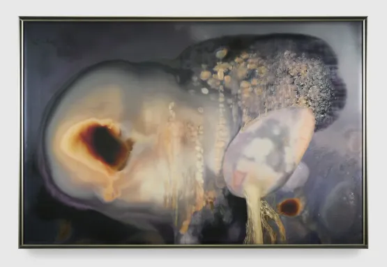 0RKLn0W by Anicka Yi contemporary artwork Mixed Media