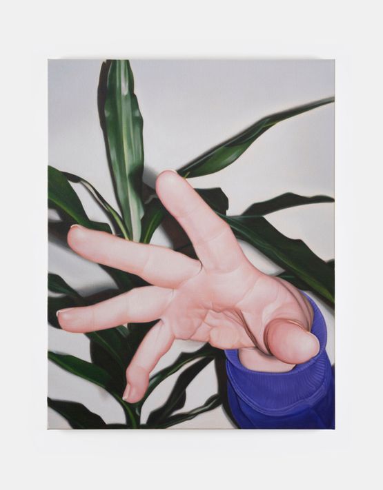 Hand and plant by Marcel Vidal contemporary artwork Painting