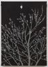 Last Night of Winter by Francisco Rodriguez contemporary artwork Painting