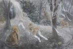 Noda Hitomi contemporary artist