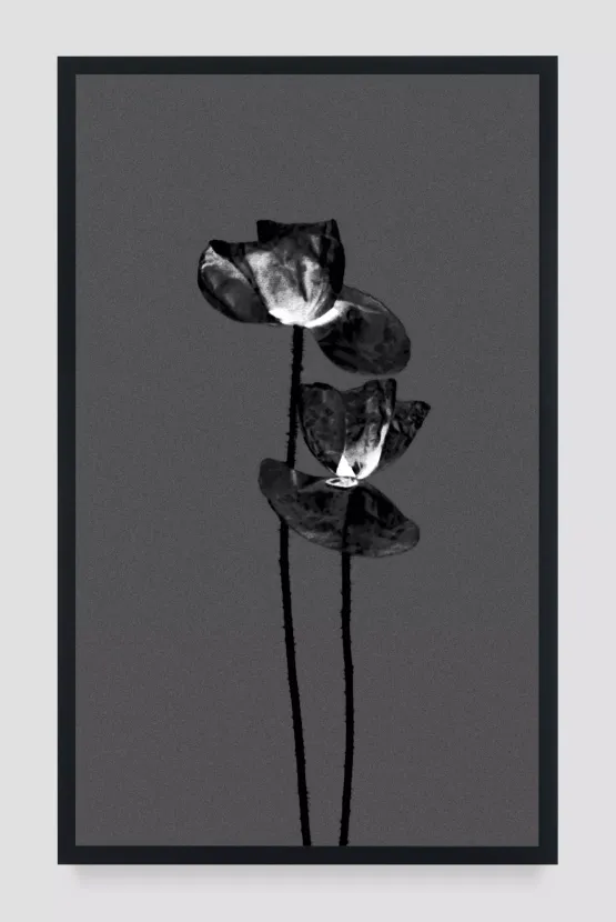 Pragim-14 by Michal Rovner contemporary artwork Photography