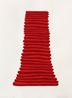 Red rib Column by David Nash contemporary artwork Works on Paper