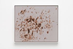 Thomas Wachholz