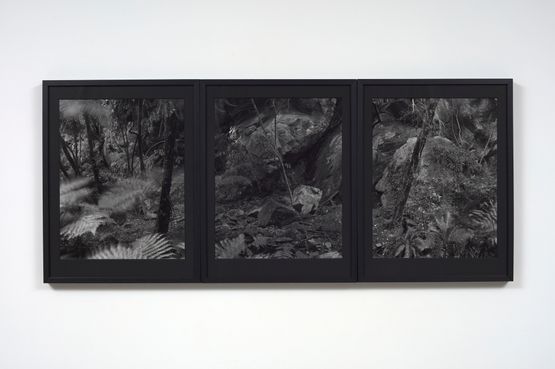 14.5.1995. Cascade Cove Tauwhare Rock shelter and Midden excavation. Tamatea-Dusky Sound by Mark Adams contemporary artwork Photography