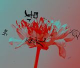 Grain Rain Series-Flower with Flying Text 3 by Hung Keung contemporary artwork moving image