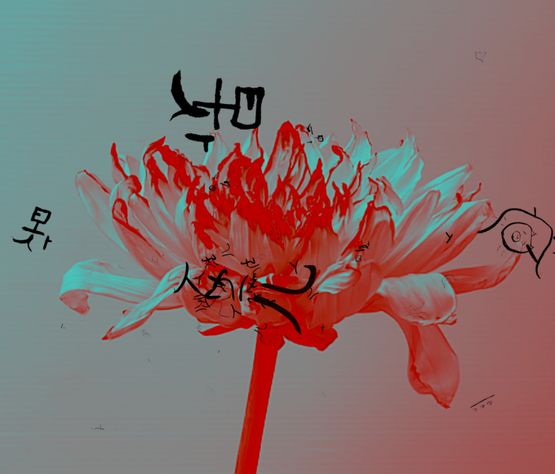 Grain Rain Series-Flower with Flying Text 3 by Hung Keung contemporary artwork Moving Image